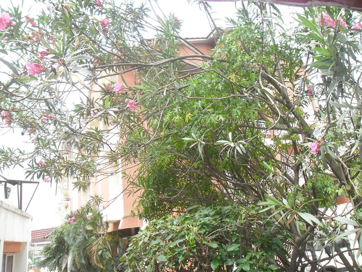 Hotel Vivi Palace Matadi Exterior foto